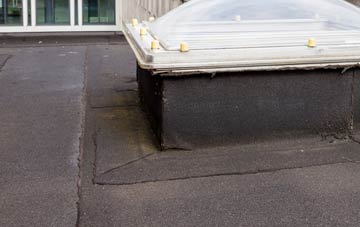 disadvantages of Orleton Common flat roofs