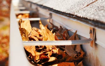 Orleton Common gutter cleaning companies