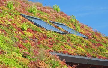 Orleton Common living roof systems