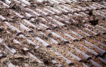 Orleton Common roof cleaning companies