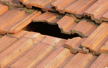 roof repair Orleton Common, Herefordshire